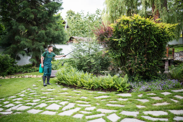 Professional Pest Control in Mauldin, SC