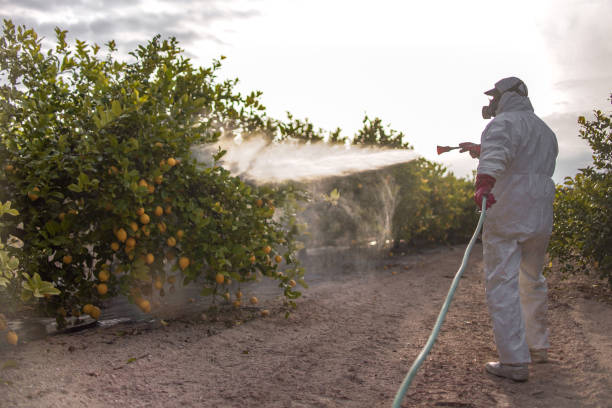 Best Mosquito Control Services  in Mauldin, SC