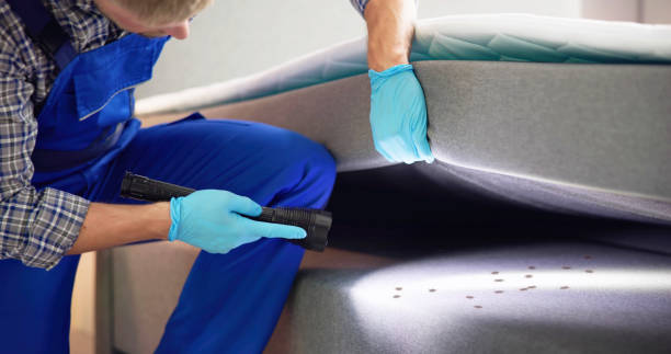Best Cockroach Control Services  in Mauldin, SC