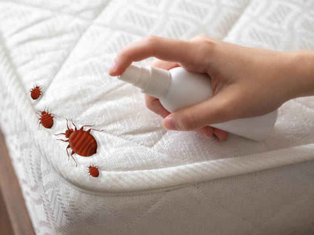 Best Exterminator Services  in Mauldin, SC