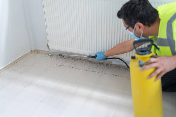 Best Termite Control Services  in Mauldin, SC